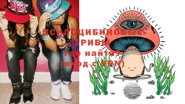 тгк Михайлов