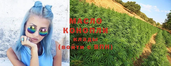 тгк Михайлов