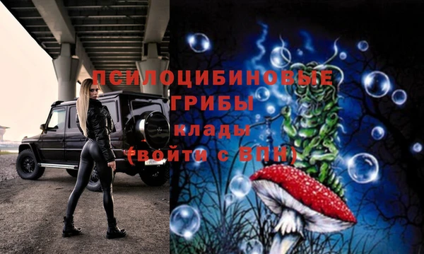 винт Михайловка