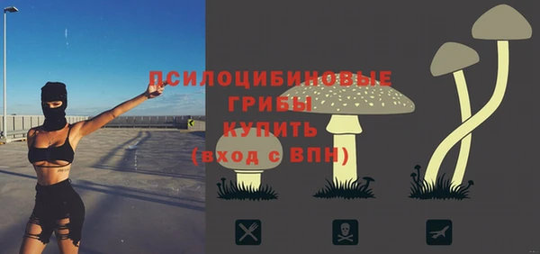 винт Михайловка