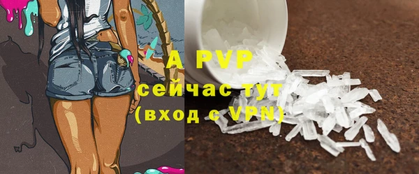 тгк Михайлов