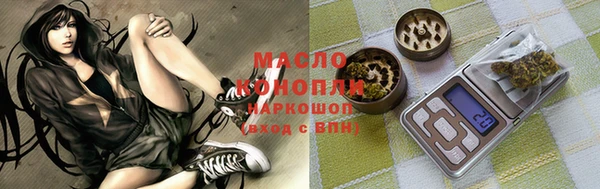 тгк Михайлов