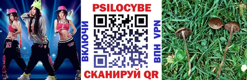 Псилоцибиновые грибы GOLDEN TEACHER Торжок